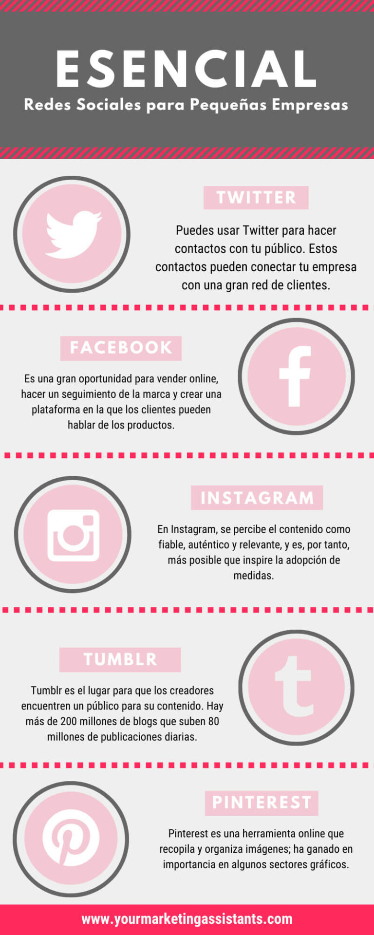 C Mo Crear Una Infograf A Con Canva Marlin Duran